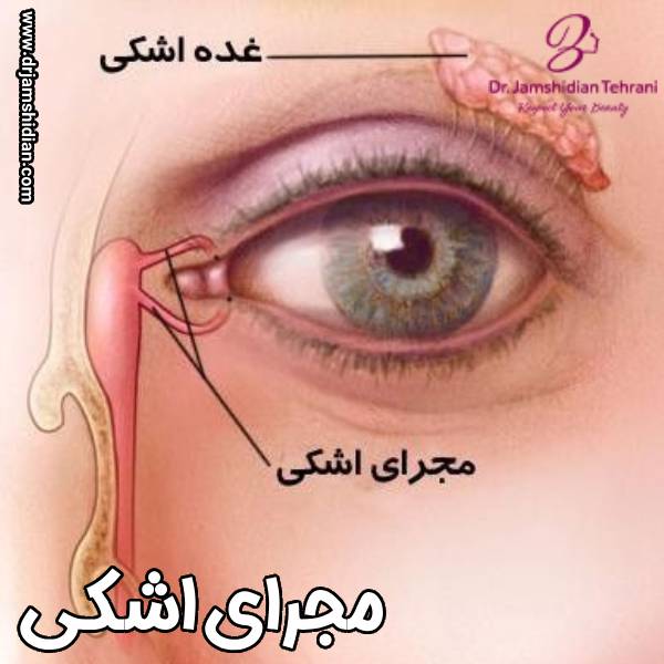 مجرای اشکی - دکتر منصوره جمشیدیان طهرانی